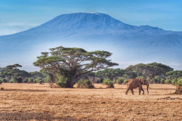 Amboseli-park