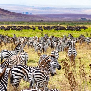 Lake Manyara