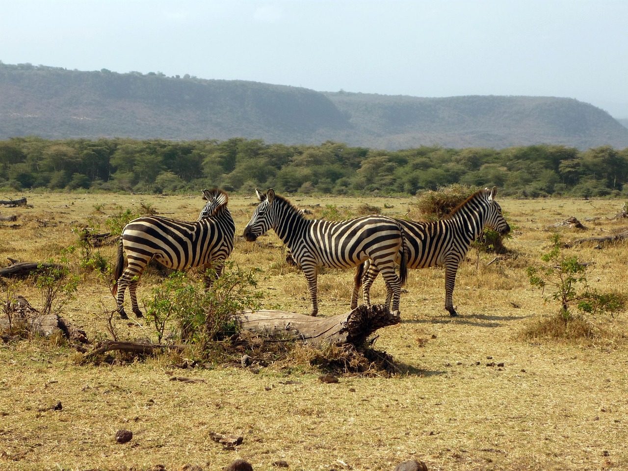 Lake Manyara