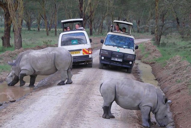 Lake-Nakuru-game-drive