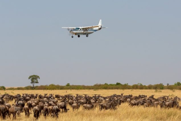 2 Days, 1 Night Masai Mara Flying Safari