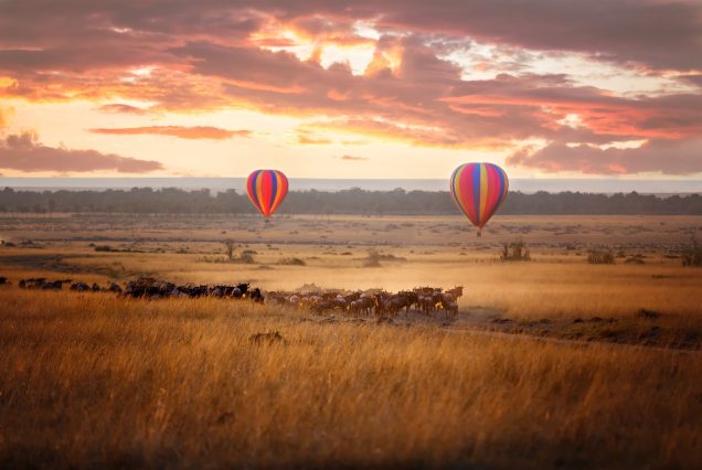 3 Days Masai Mara National Reserve Air Safari