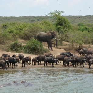 Queen Elizabeth National Park