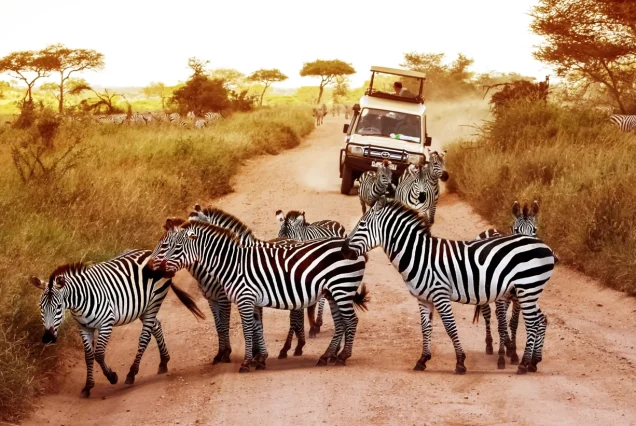 9 Days Masai Mara, Lake Nakuru, Manyara, Ngorongoro & Serengeti Camping Safari