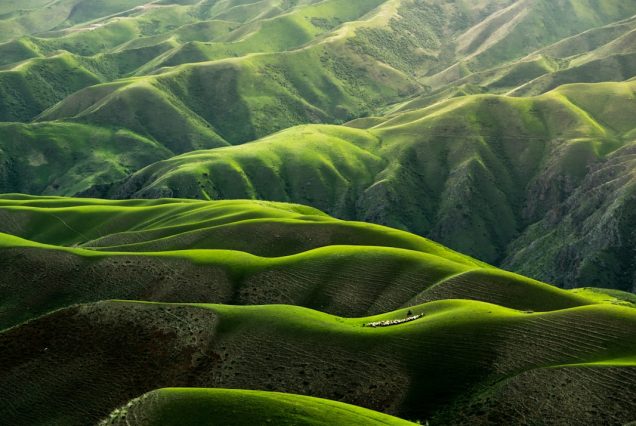 Misty Bwindi Impenetrable rainforest, Uganda