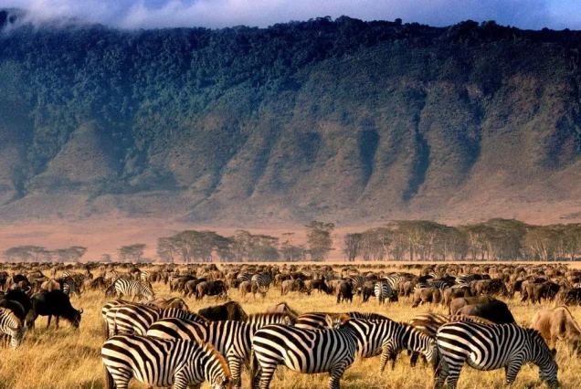 ngorongoro-crater2