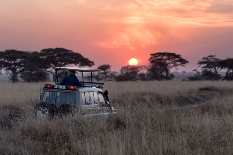 5-Day Serengeti Great Migration Safari