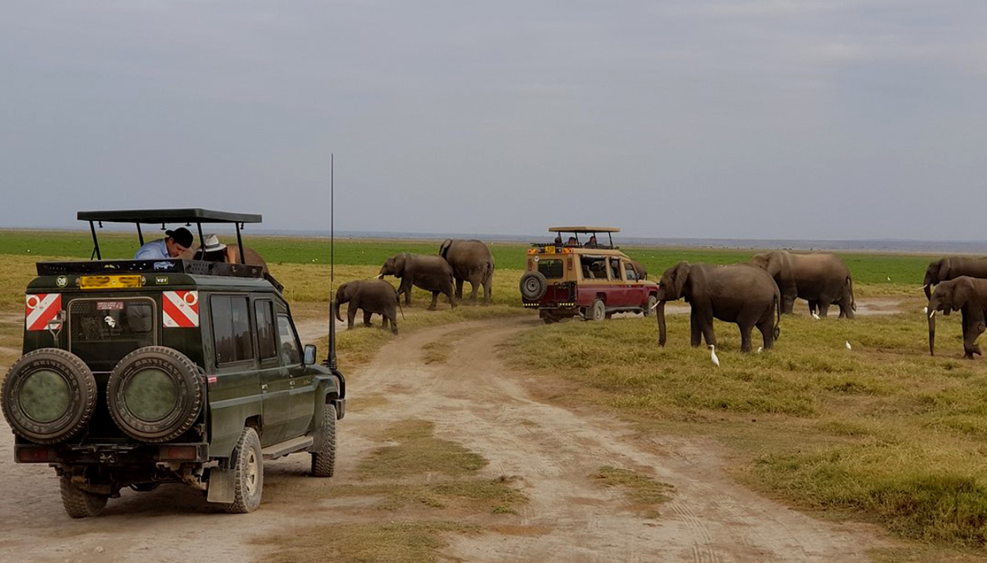 tour-amboseli-top