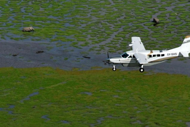 3 Days Amboseli National Park Flying Safari