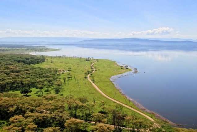 Lake Nakuru National Park Day Trip
