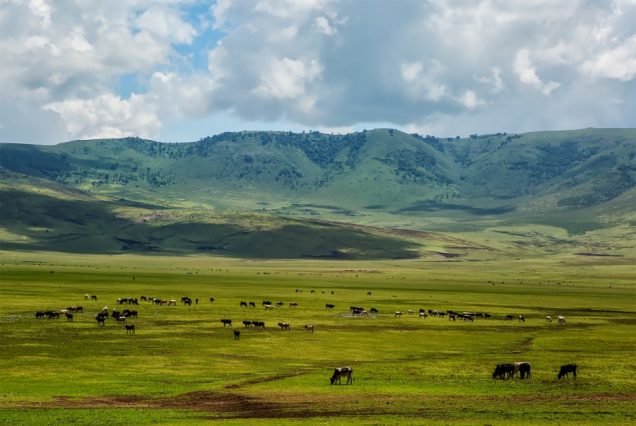 3 Days Lake Manyara & Ngorongoro Crater Safari