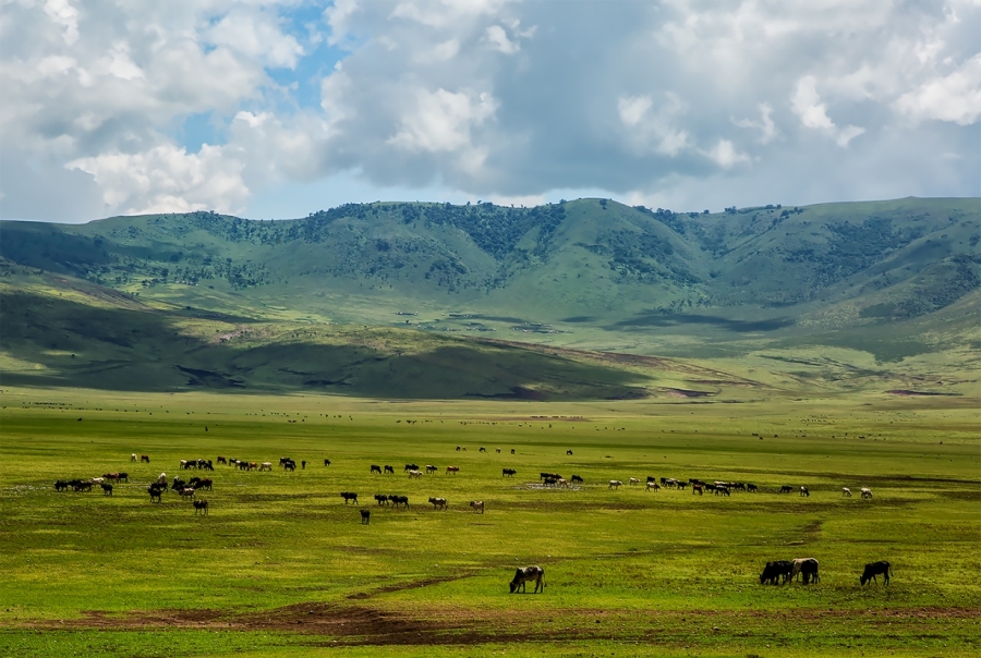 Ngorongoro-crater3