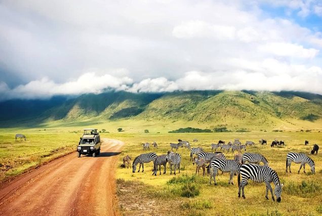 Ngorongoro-safaris