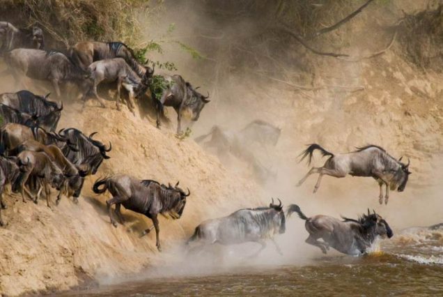 Serengeti-National-Park