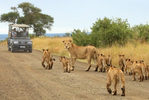 ngorongoro