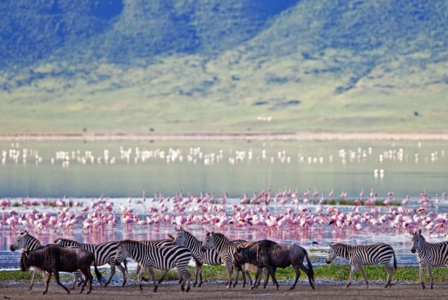ngorongoro-crater-floor