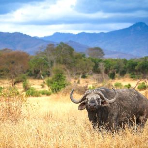 Tsavo National Park