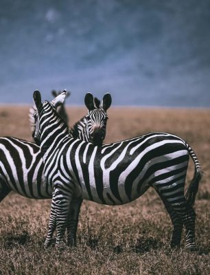 samburu-national-park_Stunning_7280784